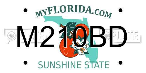 M210BD Florida License Plate