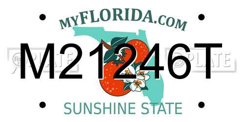 M21246T Florida License Plate