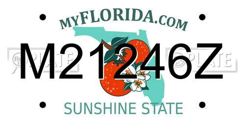 M21246Z Florida License Plate
