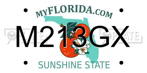 M213GX Florida License Plate
