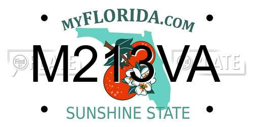 M213VA Florida License Plate