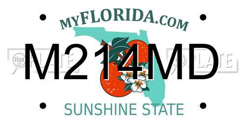 M214MD Florida License Plate