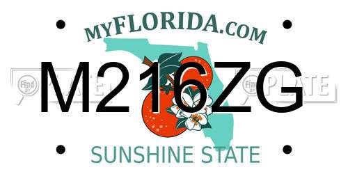 M216ZG Florida License Plate
