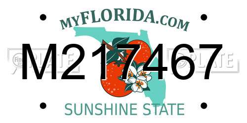 M217467 Florida License Plate
