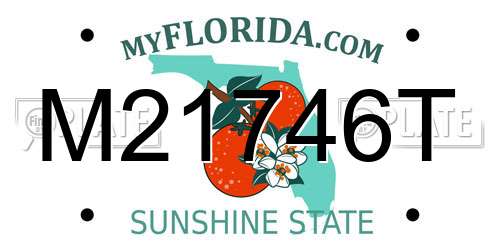 M21746T Florida License Plate