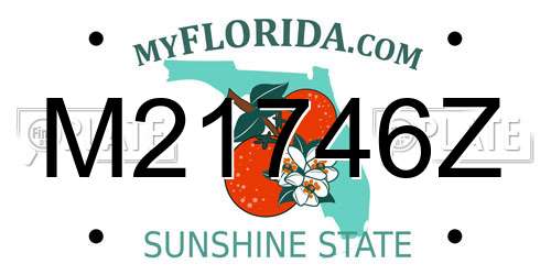 M21746Z Florida License Plate
