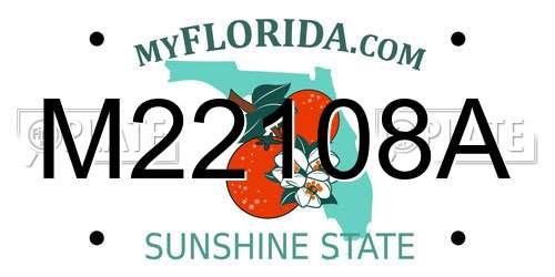 M22108A Florida License Plate