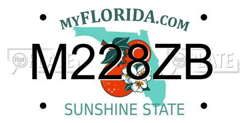M228ZB Florida License Plate