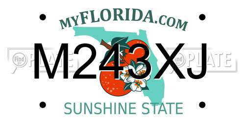 M243XJ Florida License Plate