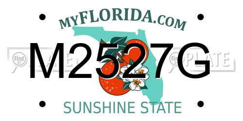 M2527G Florida License Plate