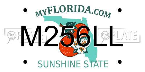 M256LL Florida License Plate