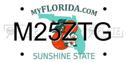 M25ZTG Florida License Plate