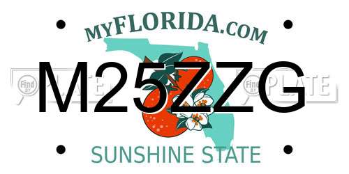 M25ZZG Florida License Plate