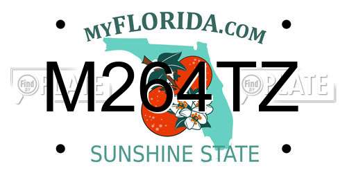 M264TZ Florida License Plate
