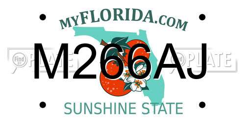 M266AJ Florida License Plate