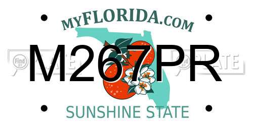 M267PR Florida License Plate