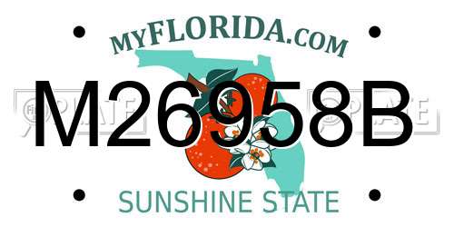 M26958B Florida License Plate