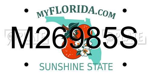 M26985S Florida License Plate