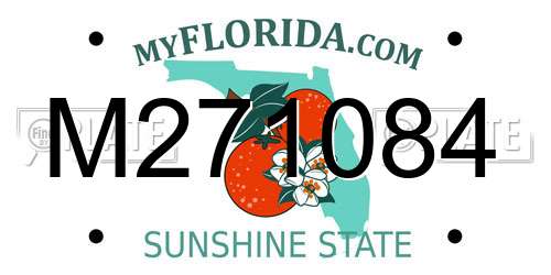 M271084 Florida License Plate
