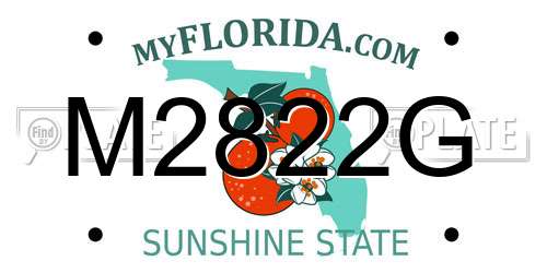 M2822G Florida License Plate