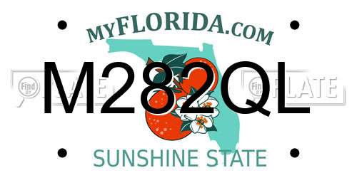 M282QL Florida License Plate