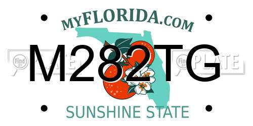 M282TG Florida License Plate