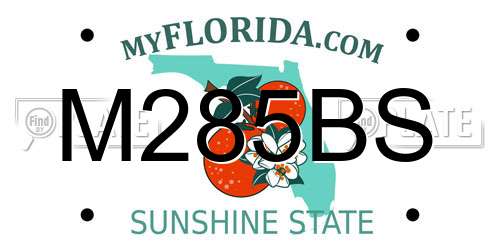 M285BS Florida License Plate