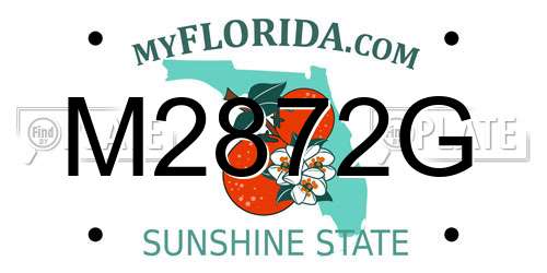 M2872G Florida License Plate