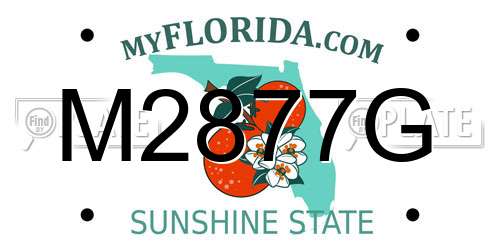 M2877G Florida License Plate