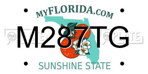 M287TG Florida License Plate