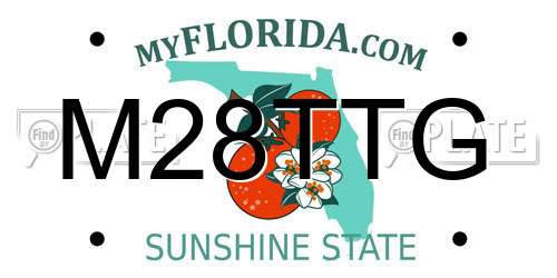 M28TTG Florida License Plate