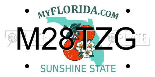 M28TZG Florida License Plate