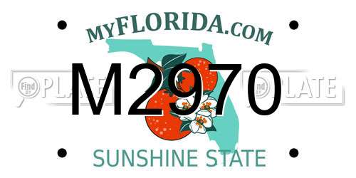 M2970 Florida License Plate