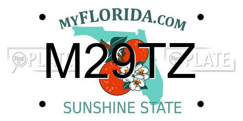 M29TZ Florida License Plate