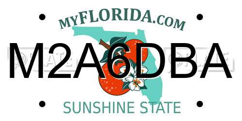 M2A6DBA Florida License Plate