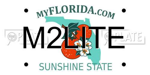 M2LITE Florida License Plate