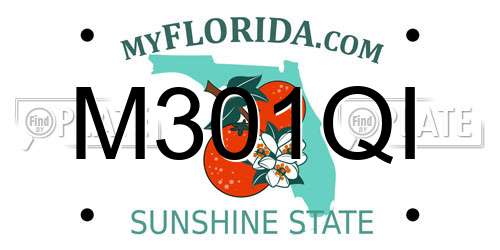 M301QI Florida License Plate