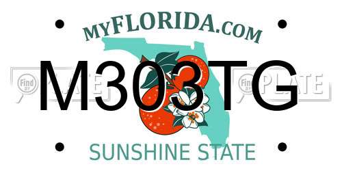 M303TG Florida License Plate