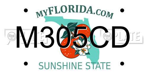 M305CD Florida License Plate