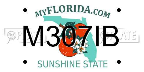 M307IB Florida License Plate