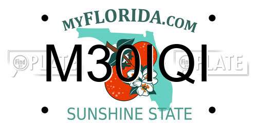 M30IQI Florida License Plate