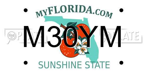 M30YM Florida License Plate