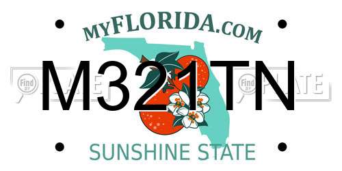 M321TN Florida License Plate