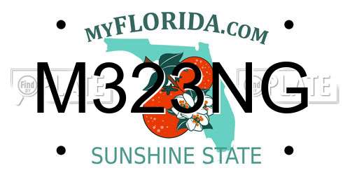 M323NG Florida License Plate