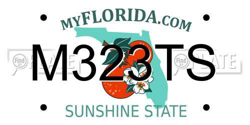 M323TS Florida License Plate