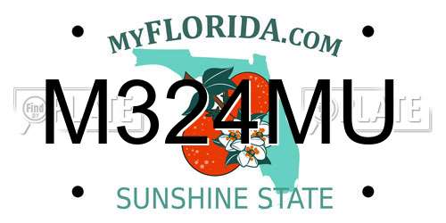 M324MU Florida License Plate