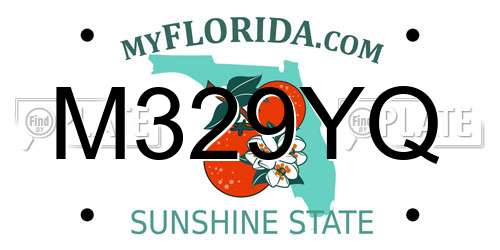 M329YQ Florida License Plate