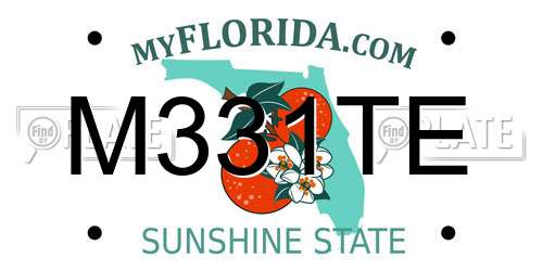 M331TE Florida License Plate