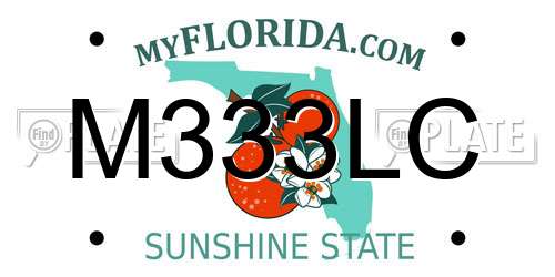 M333LC Florida License Plate