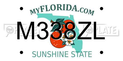 M338ZL Florida License Plate